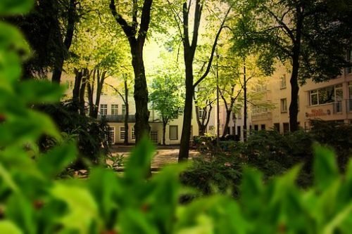 Kasvukeskus